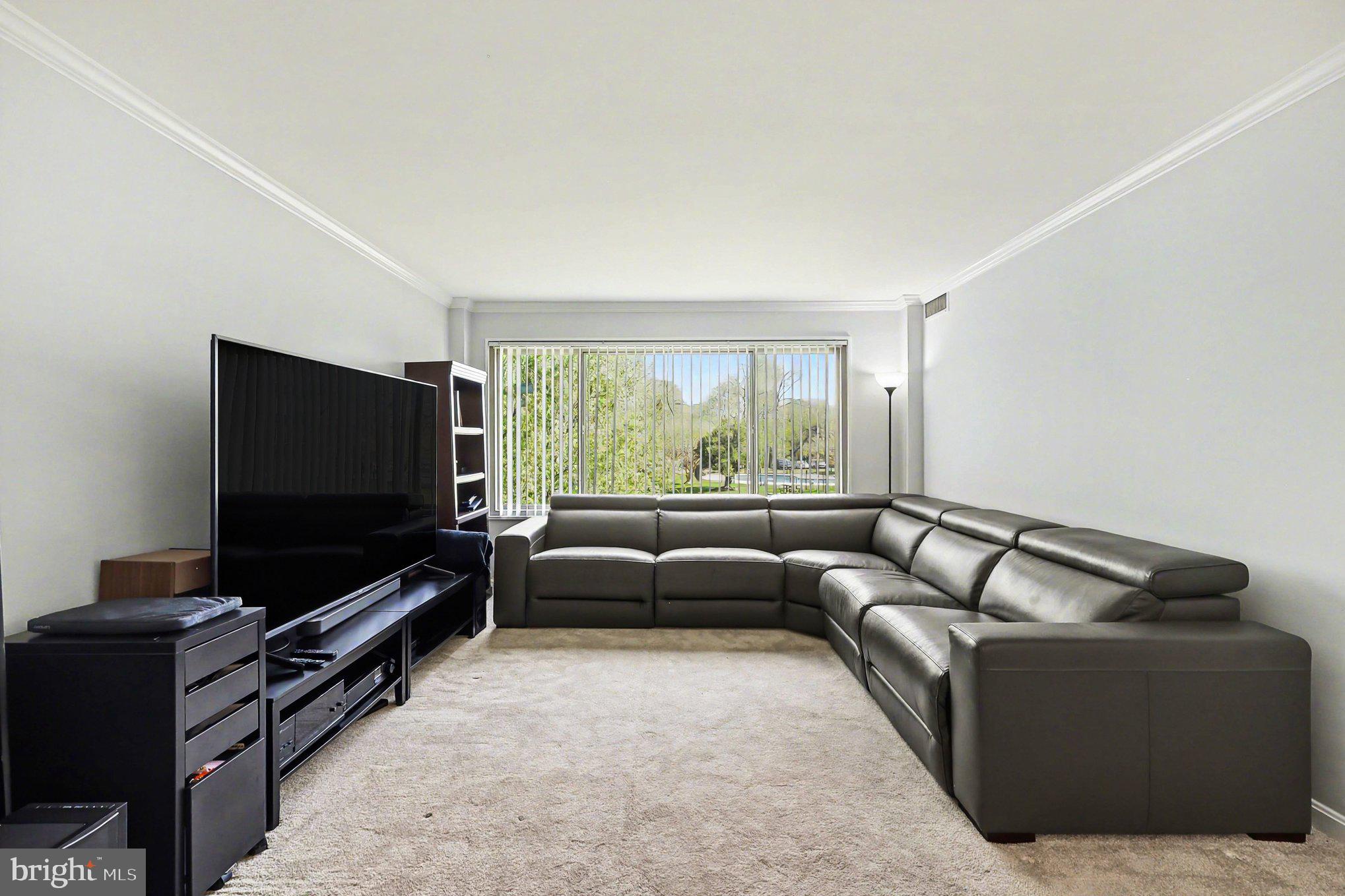 10570 MAIN STREET 203