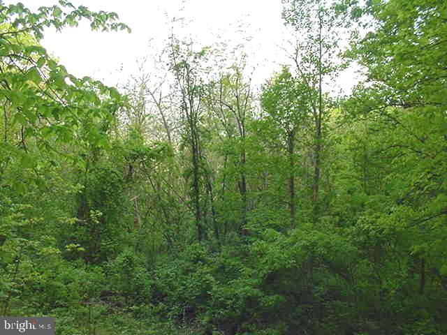 4607 BLUE MOUNTAIN ROAD