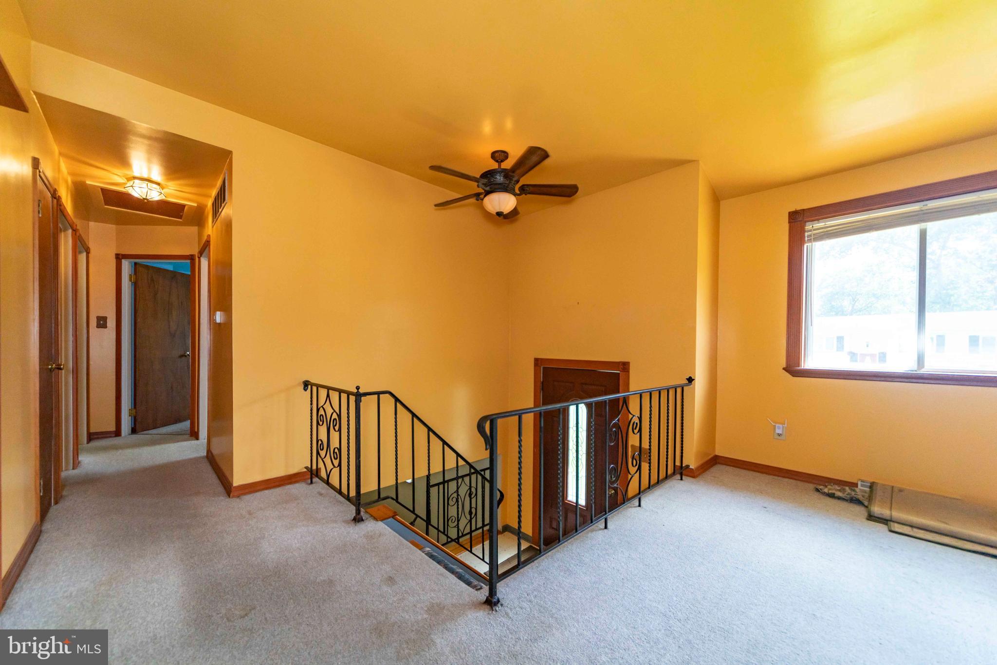 209 COLORADO TRAIL