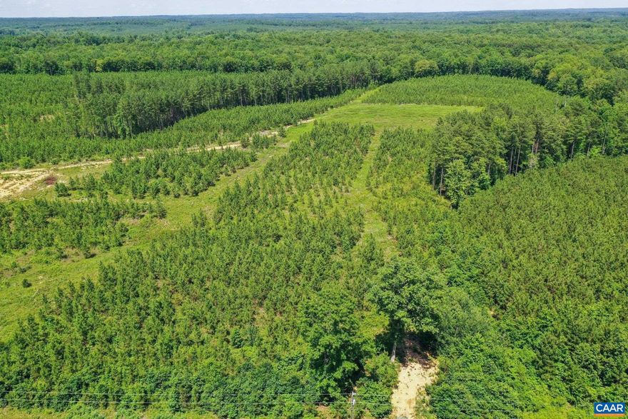 Bring your own builder, this is an excellent opportunity for large-lot home site in a quiet, rural location. Easily commutable to Charlottesville. The property has already perc?d for a 3BR conventional septic. The lot has been partially cleared and ready for a new home. A 30ft gravel driveway and culvert are in place and approved by VDOT.