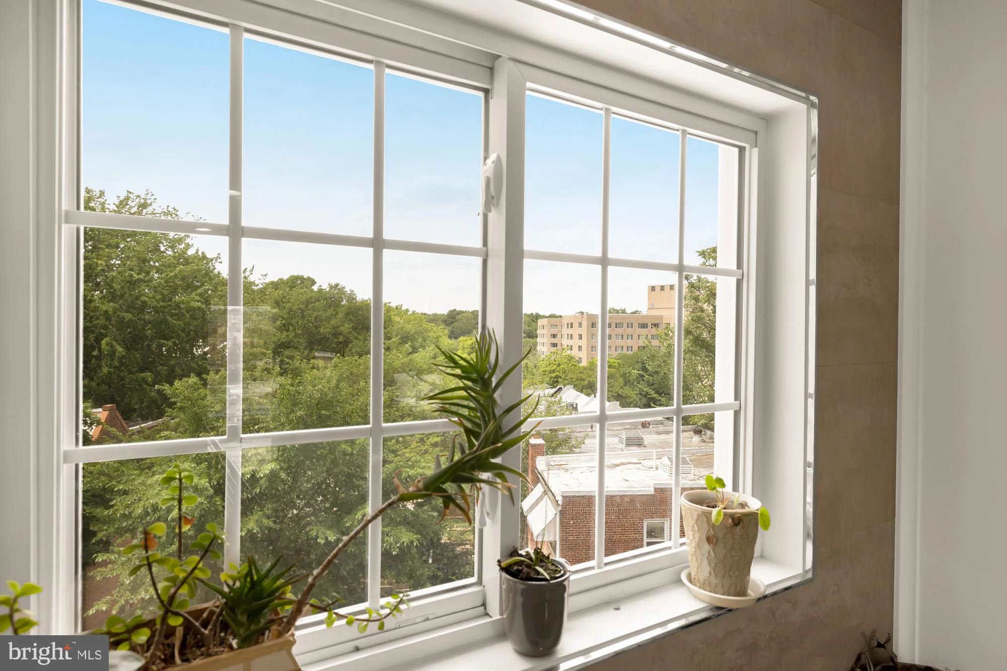 Additional image 79 of 3602 16th Street NW Unit 4, Washington, DC 20010