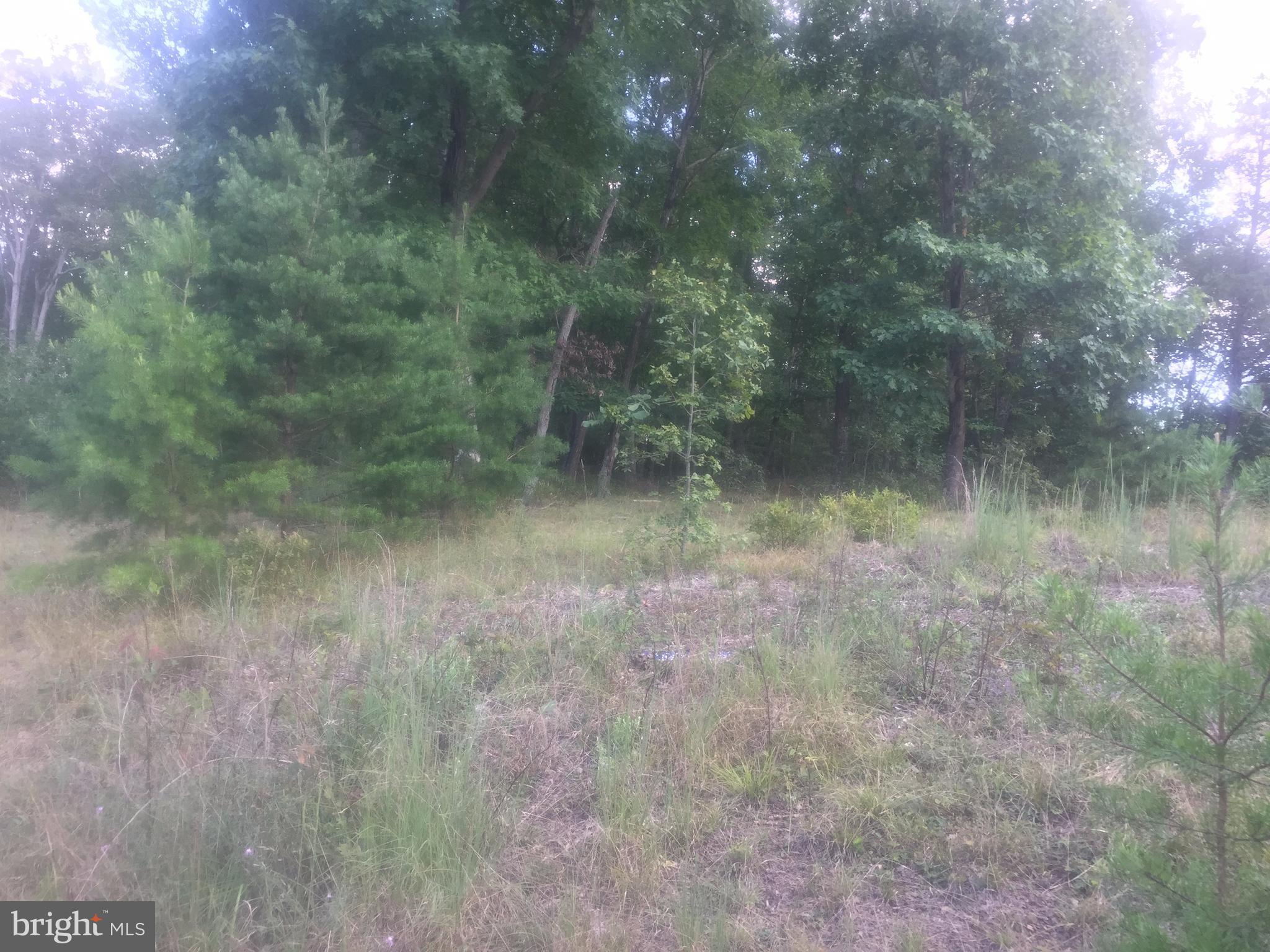 ASHTON FOREST - Land