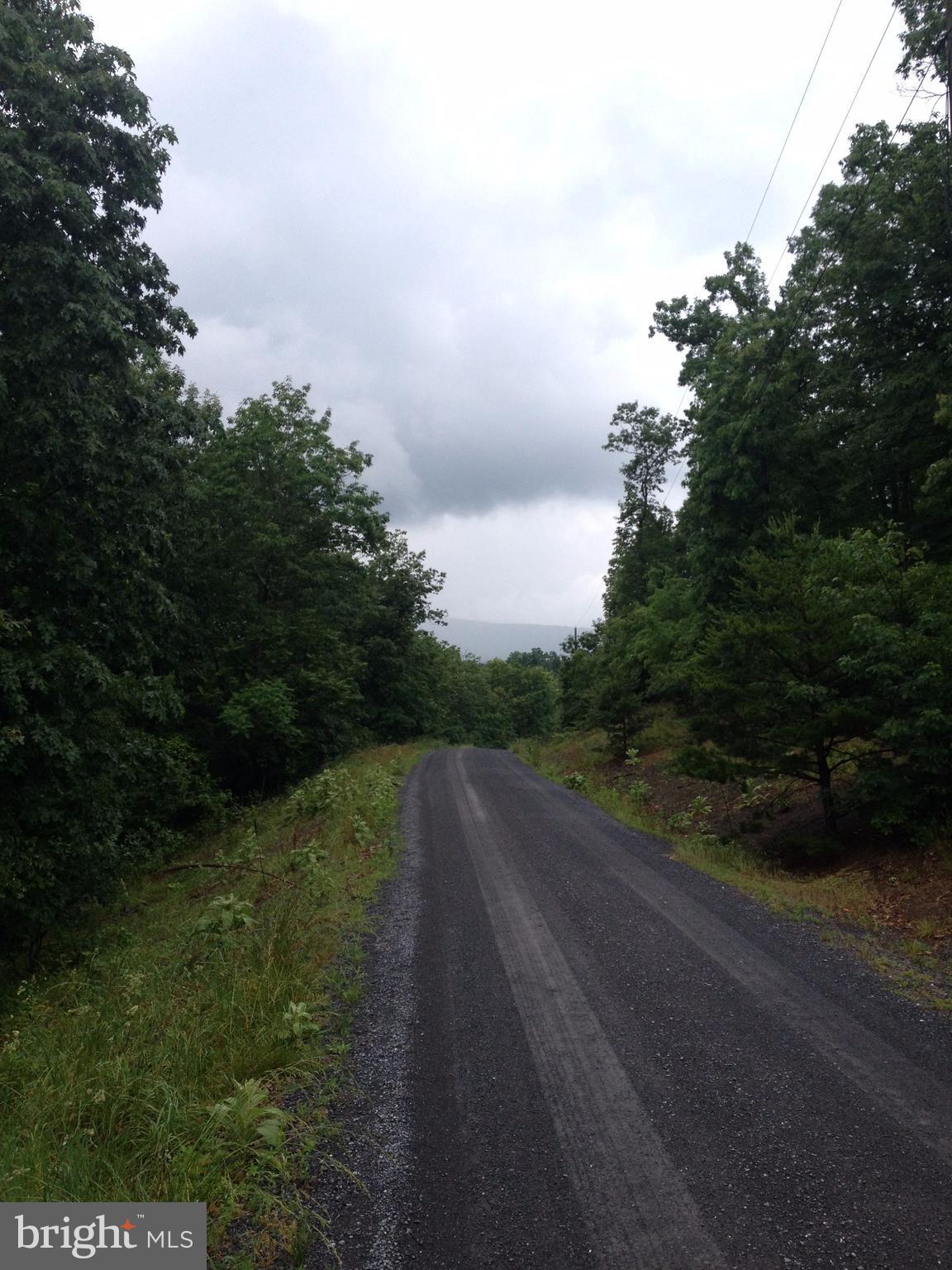 ASHTON FOREST - Land