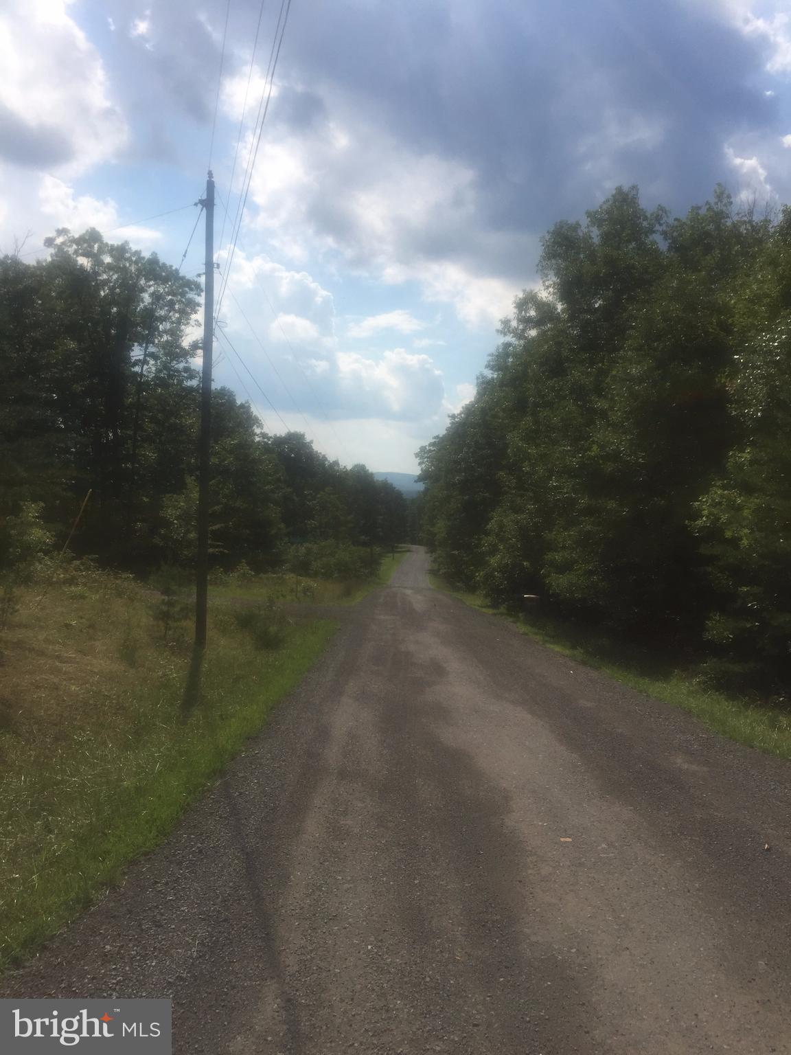 ASHTON FOREST - Land