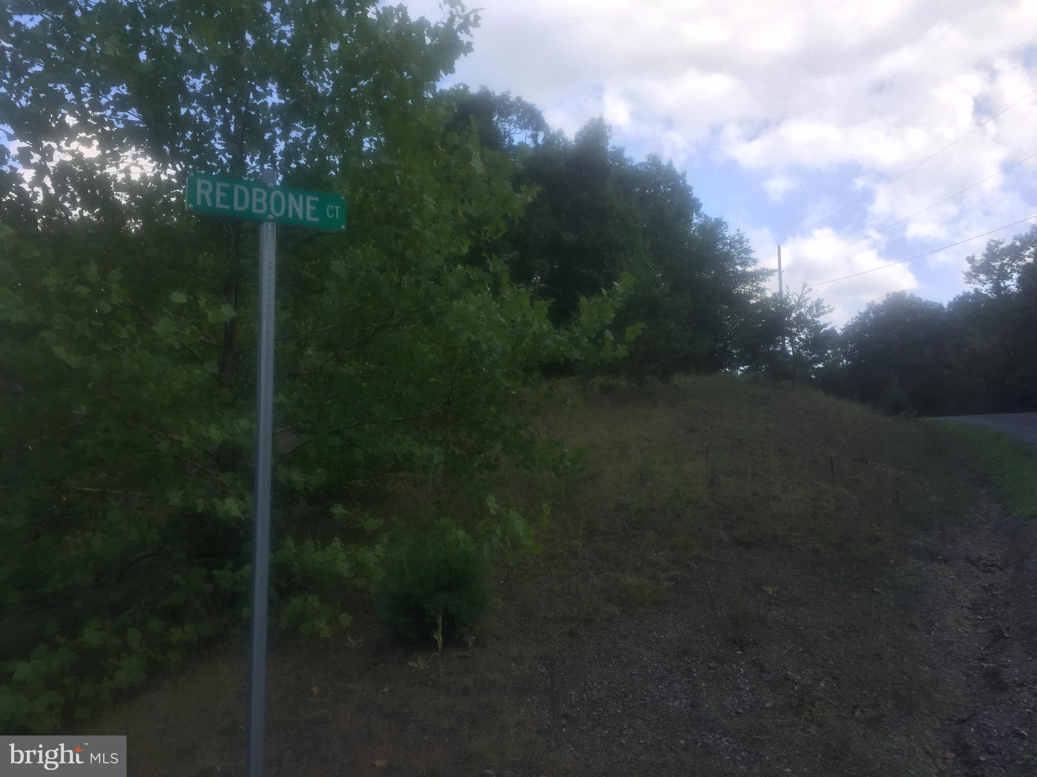 ASHTON FOREST - Land