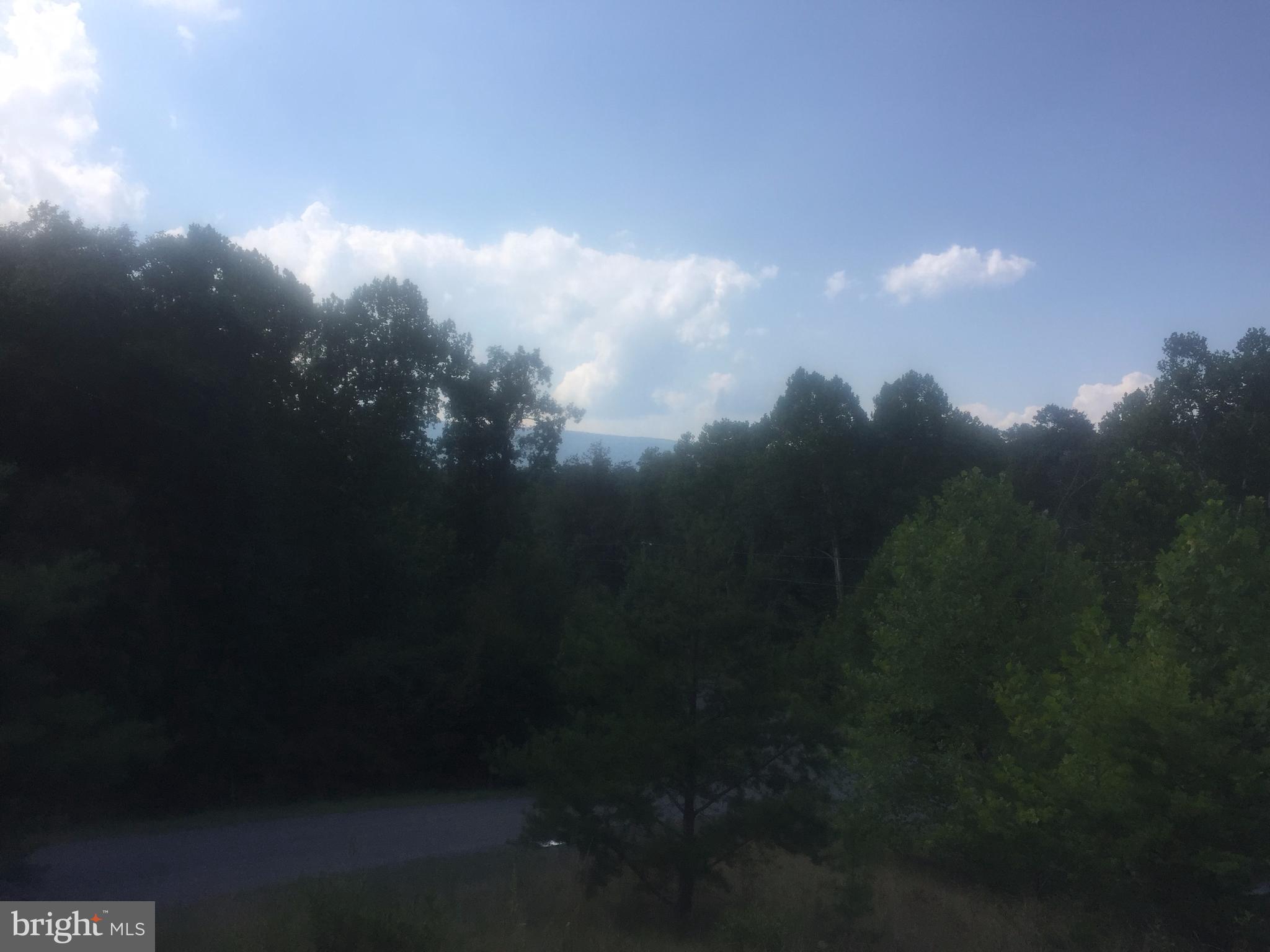 ASHTON FOREST - Land