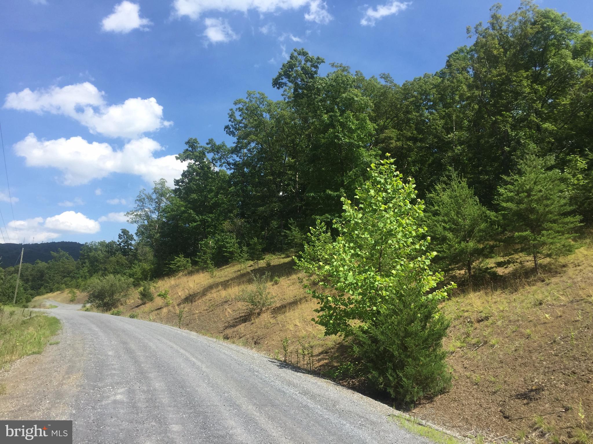 ASHTON FOREST - Land