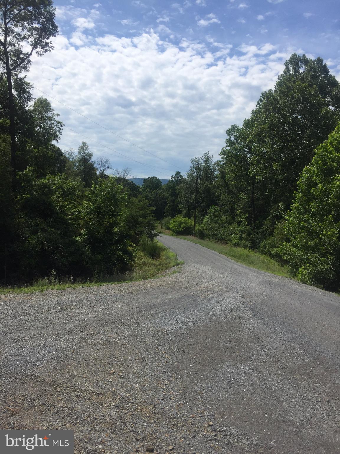 ASHTON FOREST - Land