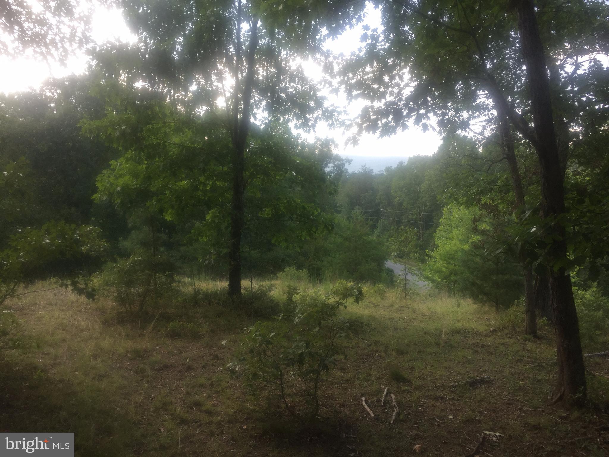 ASHTON FOREST - Land