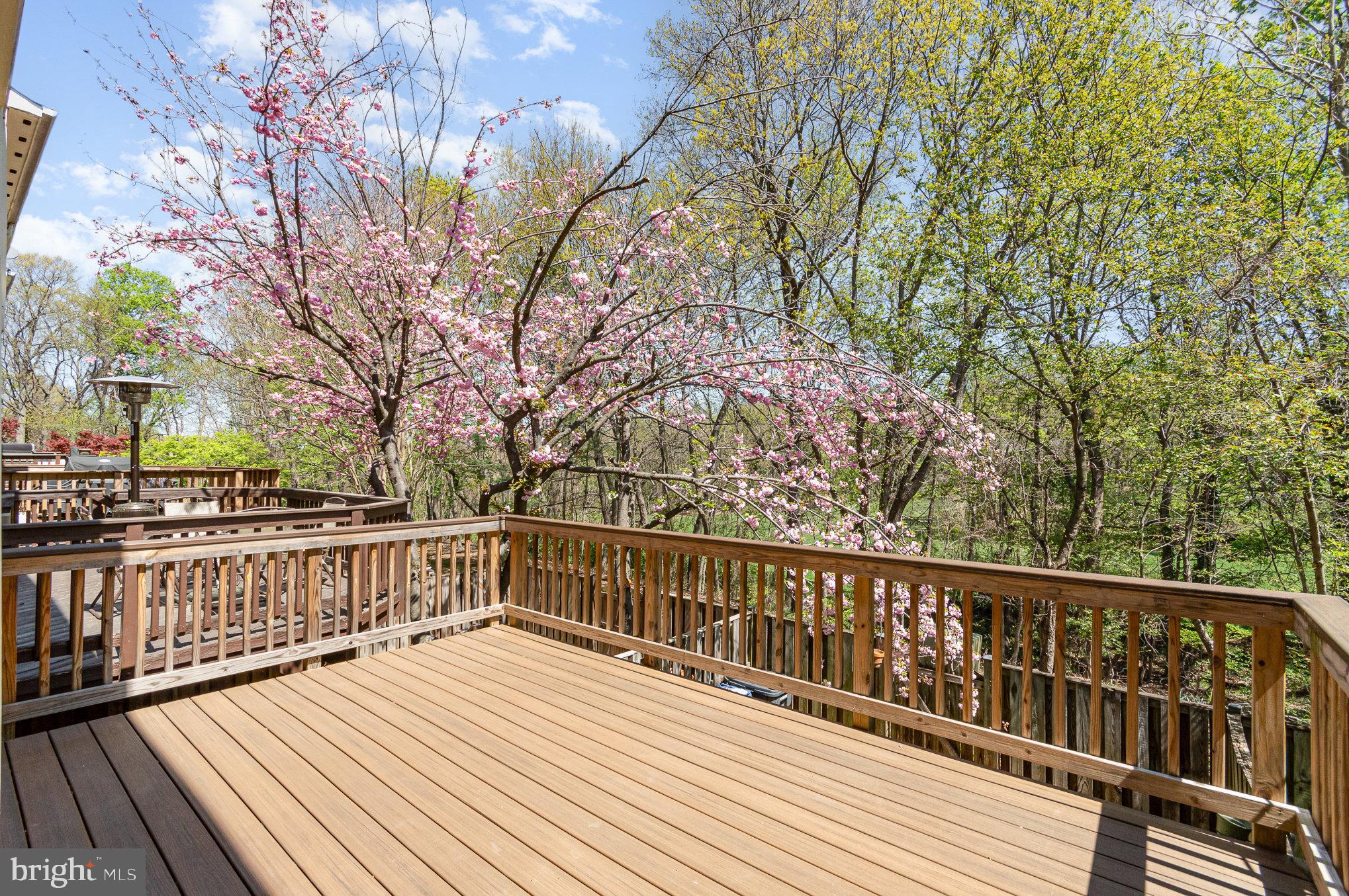 LOFTRIDGE - Residential Lease