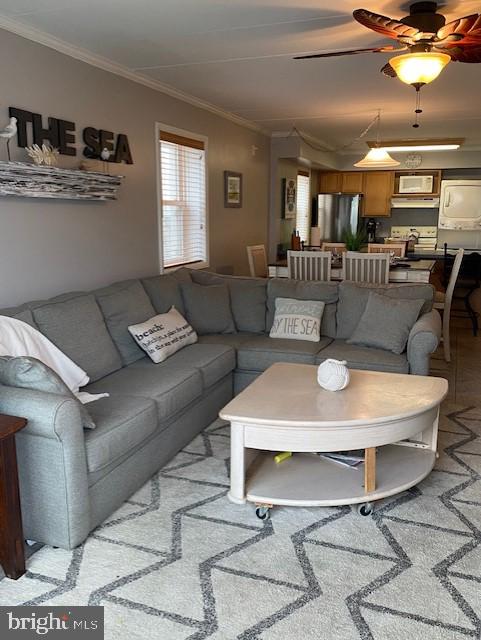 "WILD WAVE" - Residential