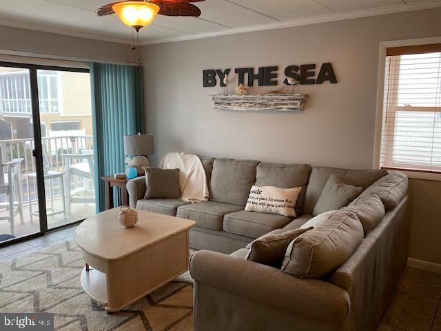 "WILD WAVE" - Residential