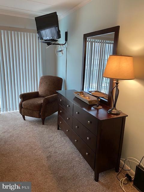 "WILD WAVE" - Residential