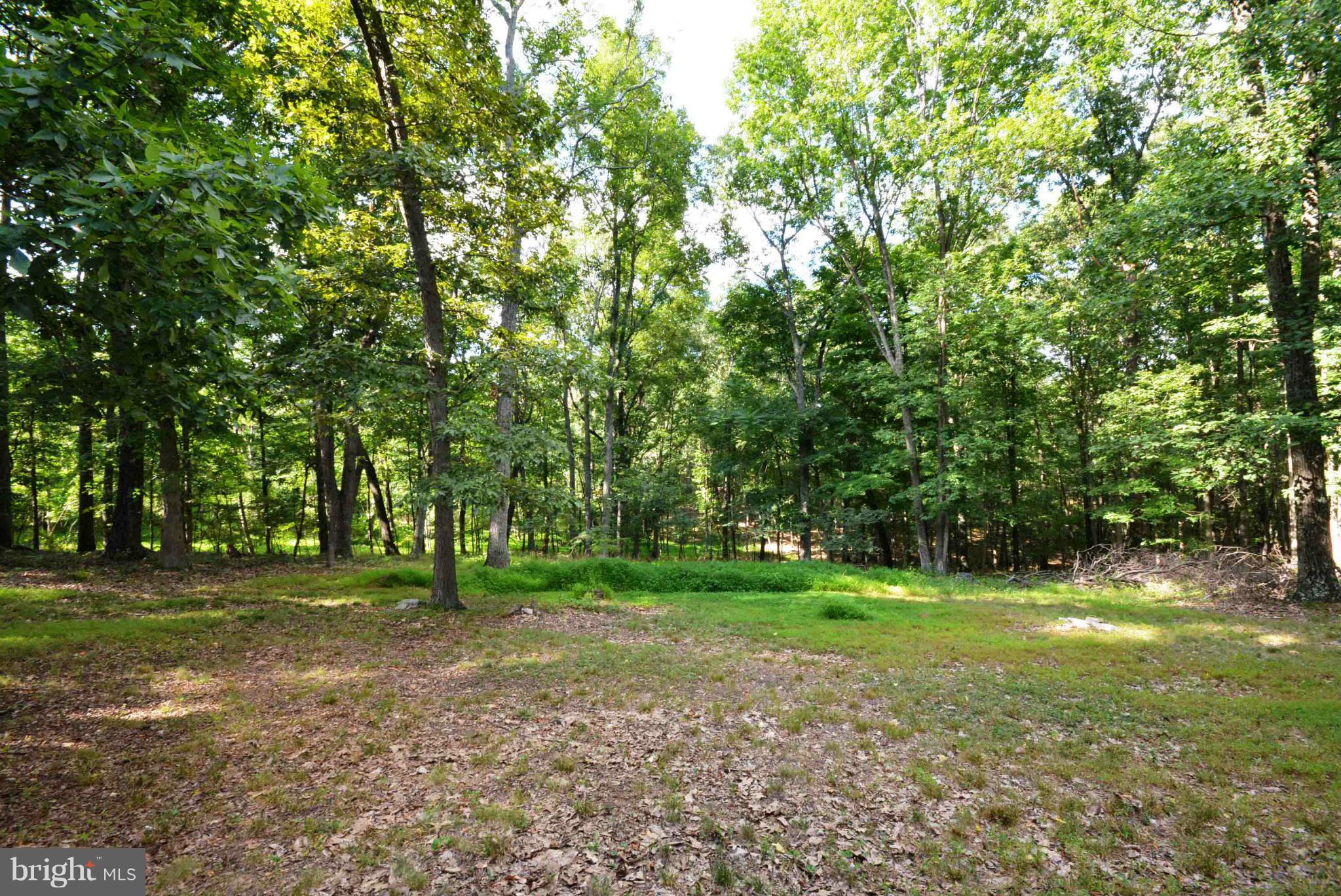 TIMBER RIDGE - Residential