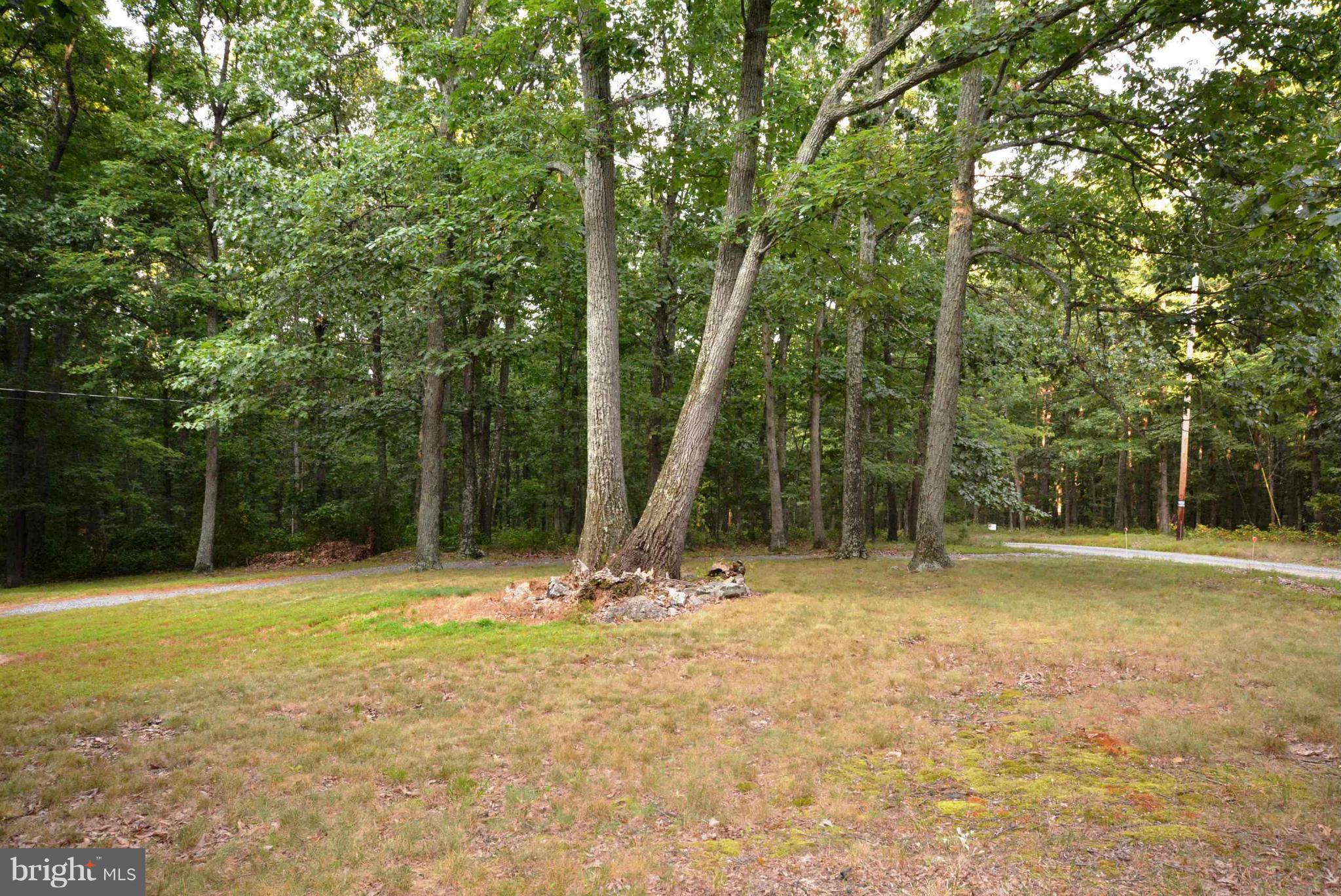 TIMBER RIDGE - Residential