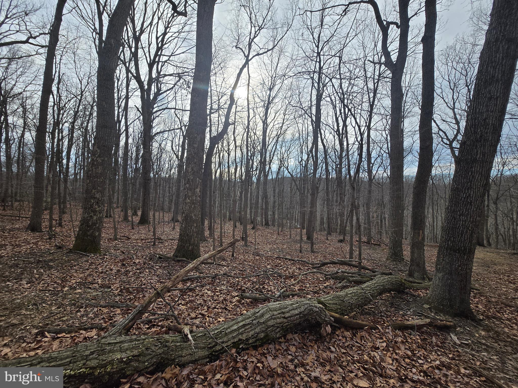 NONE AVAILABLE - Land