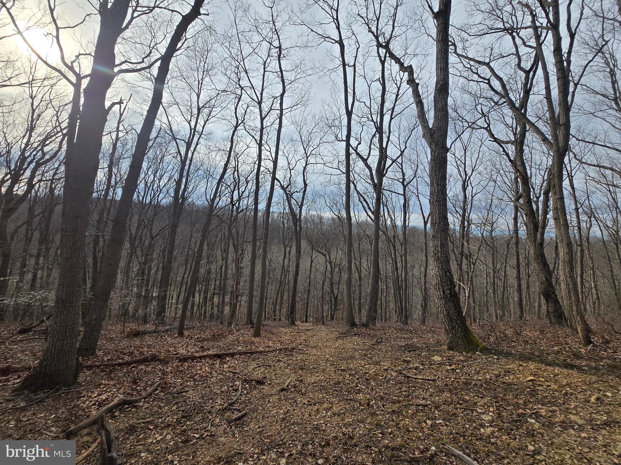 NONE AVAILABLE - Land