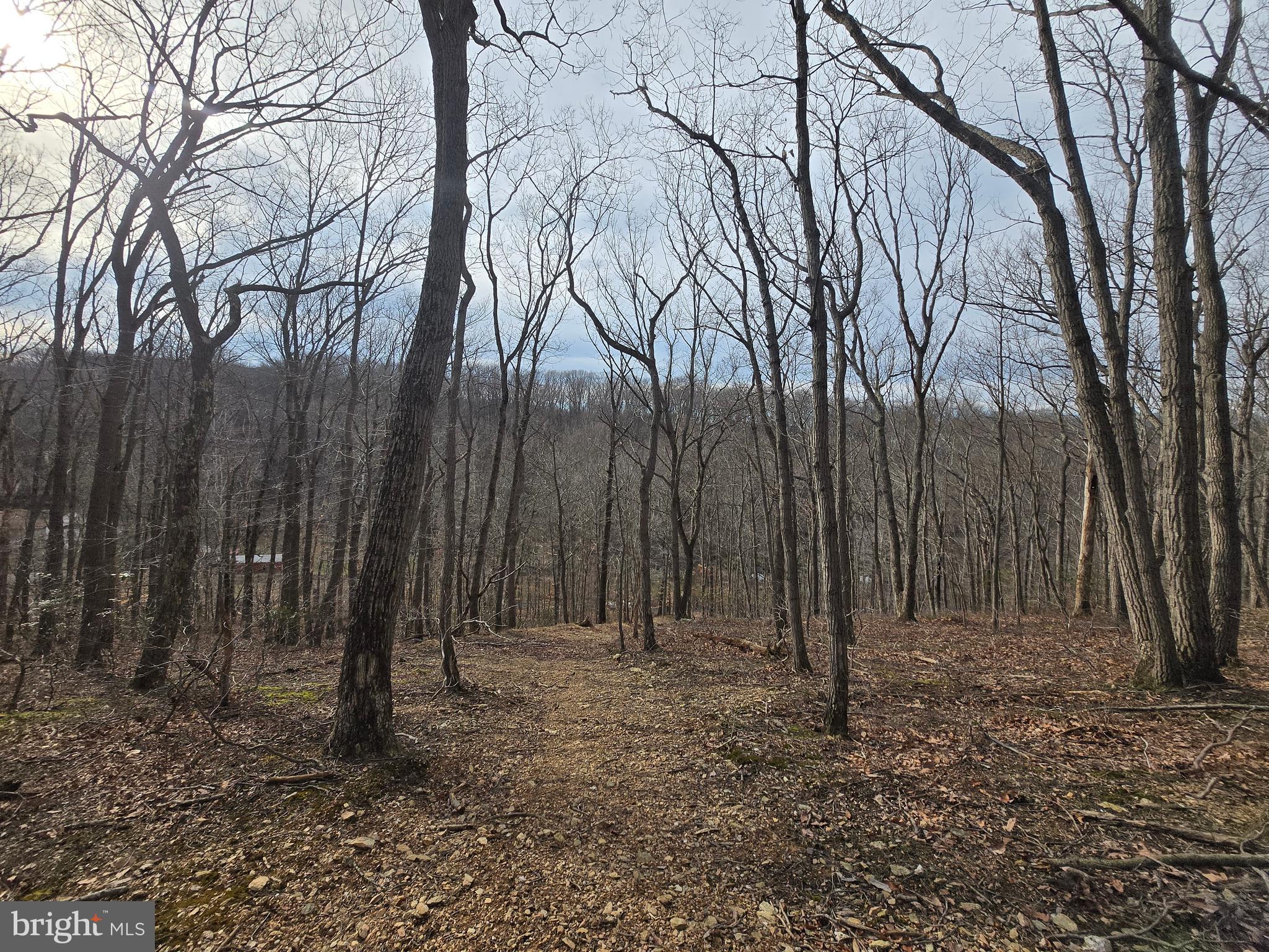 NONE AVAILABLE - Land