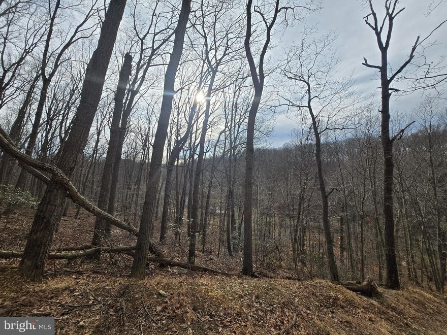 AWESOME SITE ... TREMENDOUS VIEWS ...  Large 5.87 acre wooded lot.  READY TO GO with Well & Approved Perc in place ... Setting on top of the mountain ... Incredible Panoramic Views ... Nice Flat building site .. well drilled and perc in place ( see disclosures for details )  ...  SIGN POST ==> ( Put 2965 Sams Creek Road in your GPS to find the location) .  Plats, Well & Perc information are all in the disclosures.