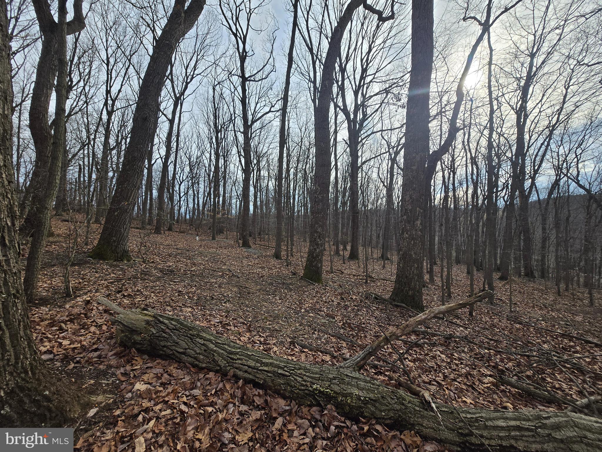 NONE AVAILABLE - Land