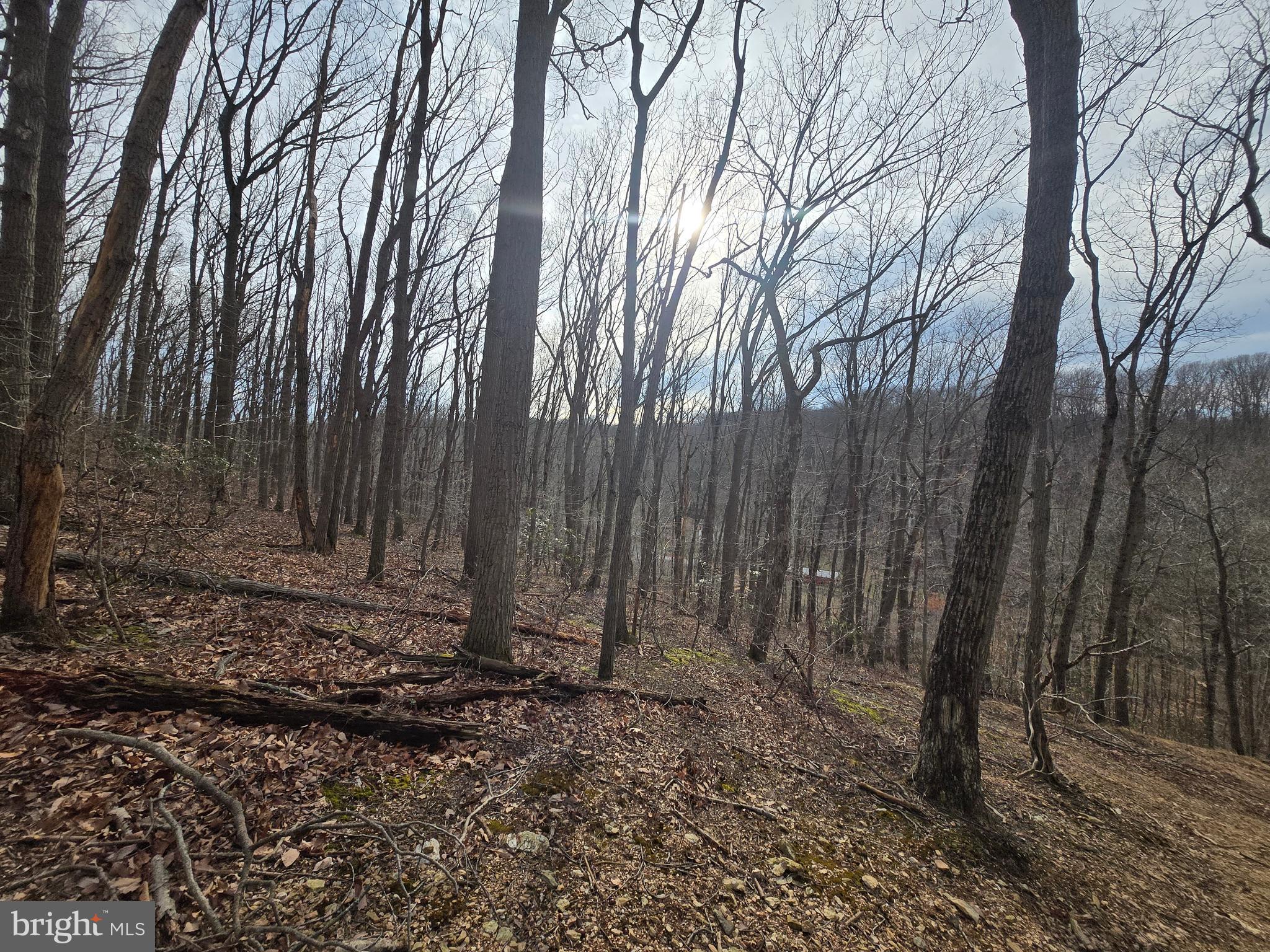 NONE AVAILABLE - Land