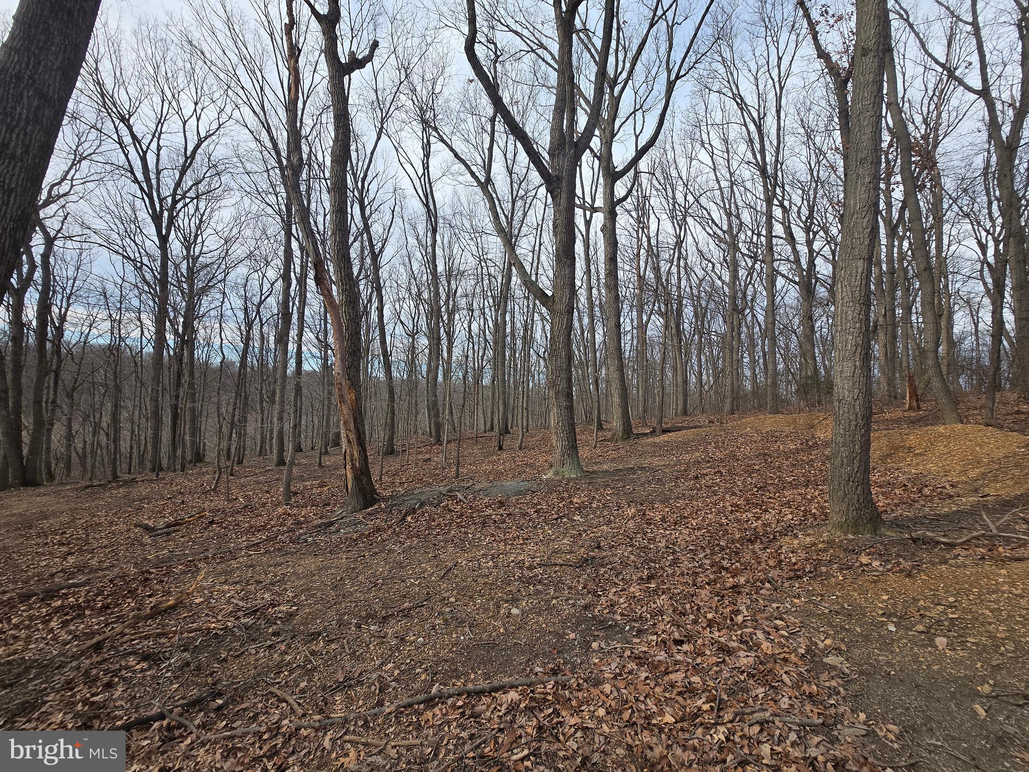 NONE AVAILABLE - Land