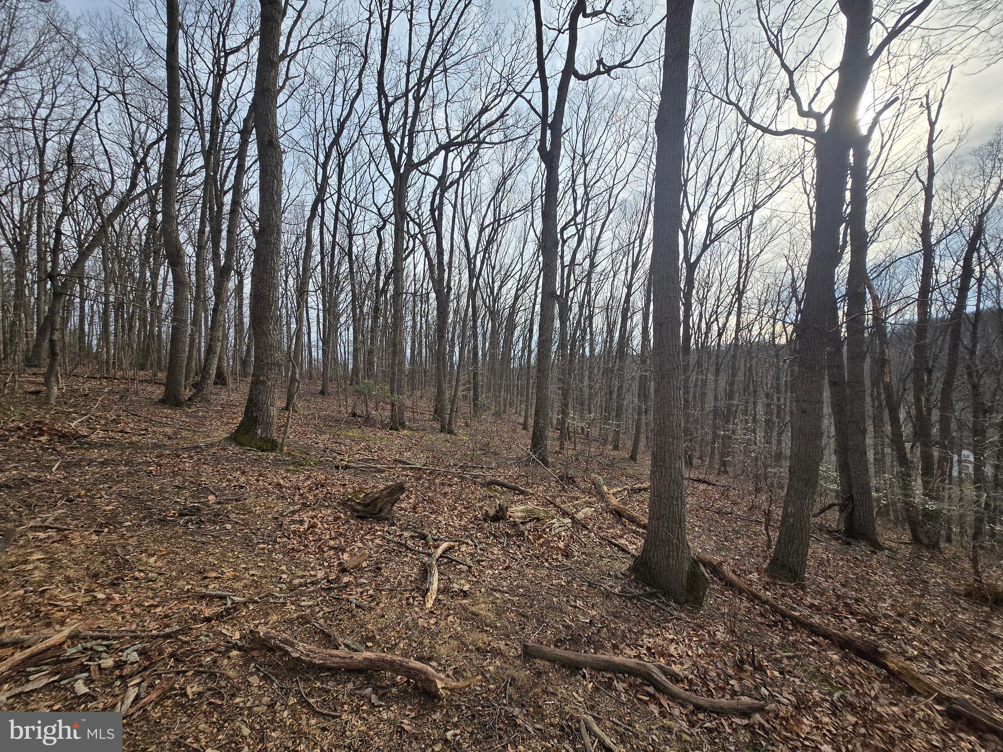 NONE AVAILABLE - Land