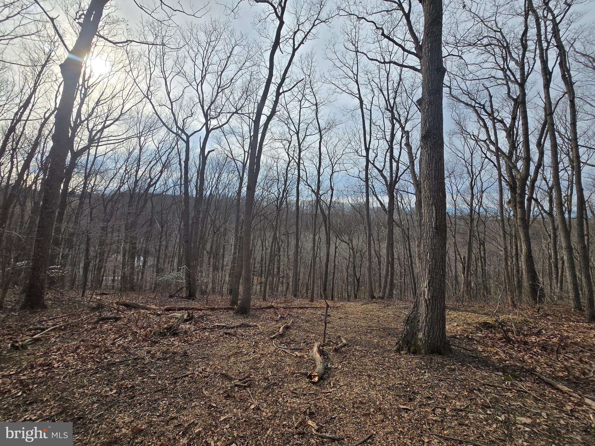 NONE AVAILABLE - Land