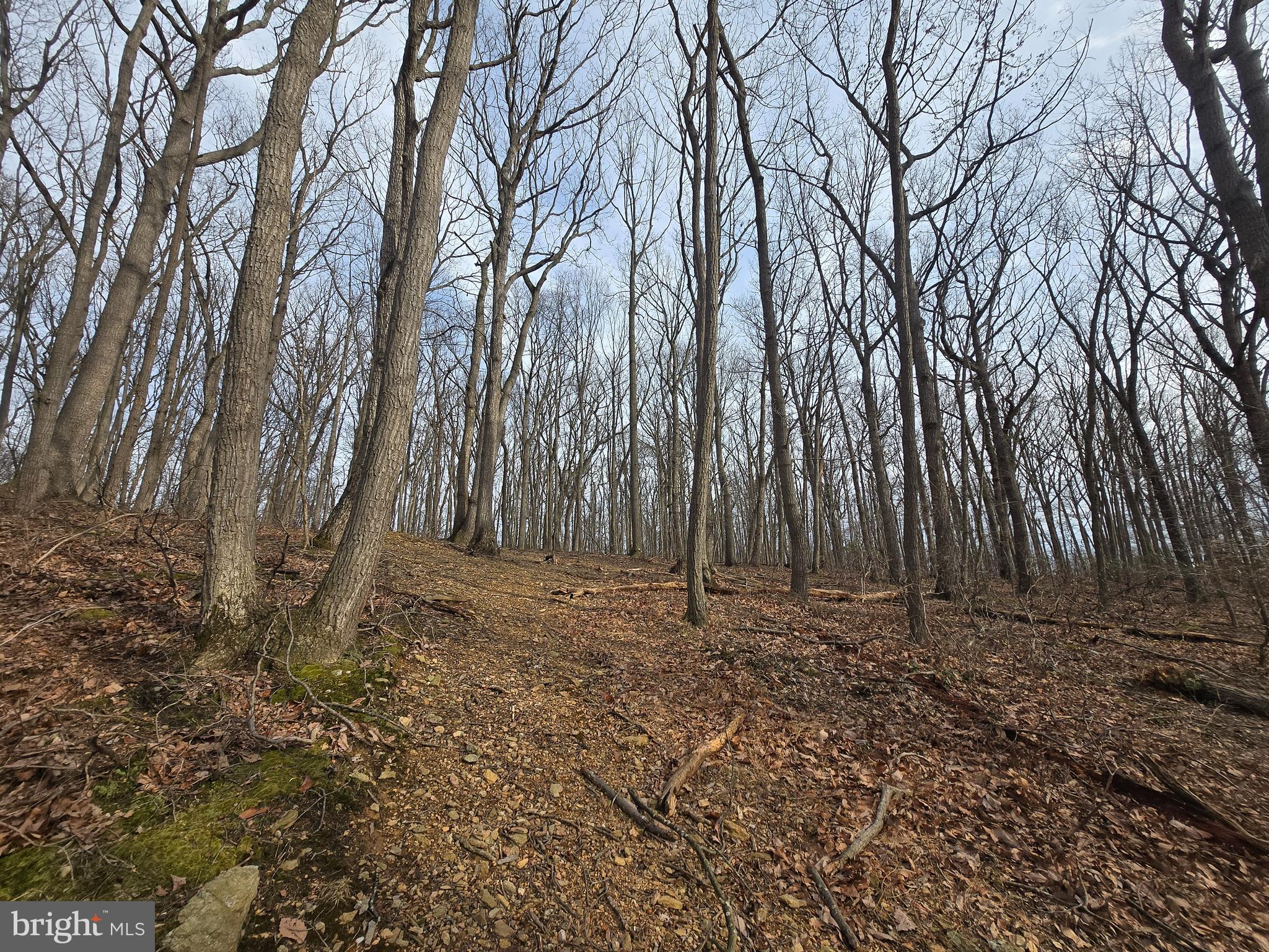 NONE AVAILABLE - Land