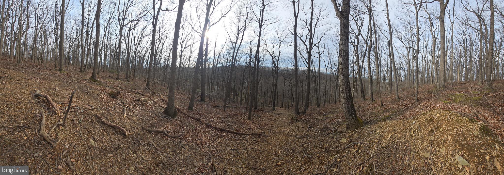 NONE AVAILABLE - Land