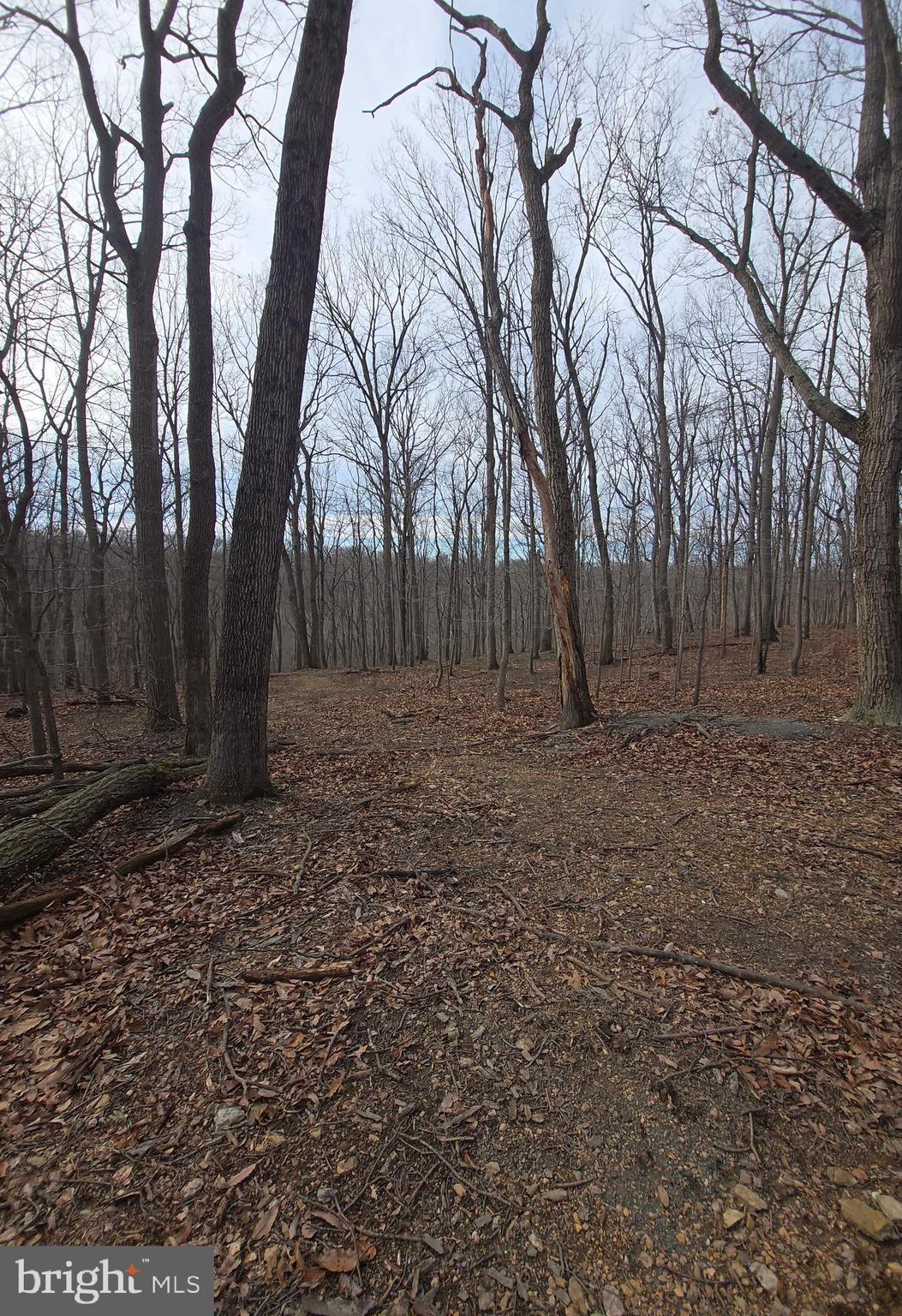 NONE AVAILABLE - Land