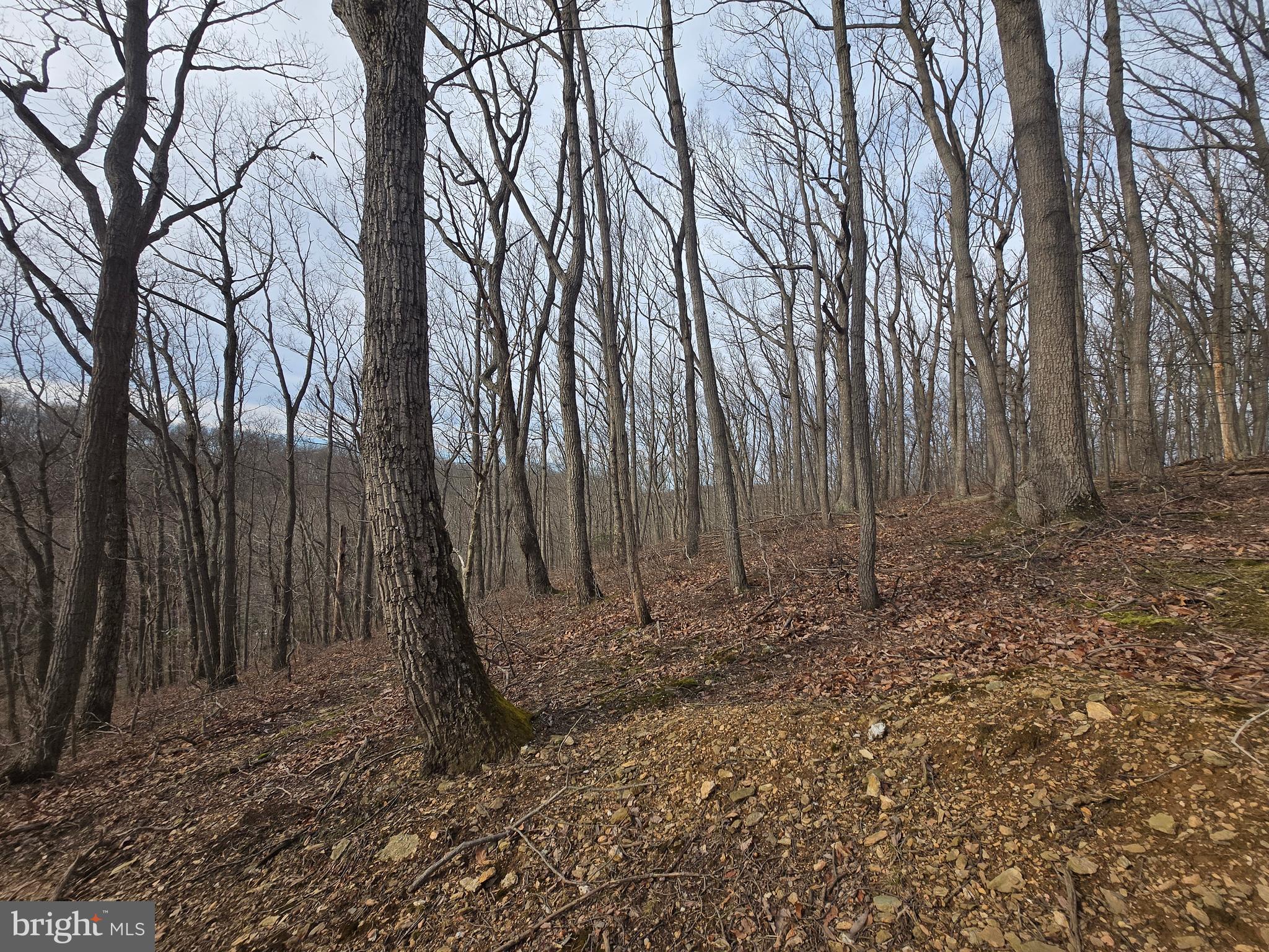 NONE AVAILABLE - Land