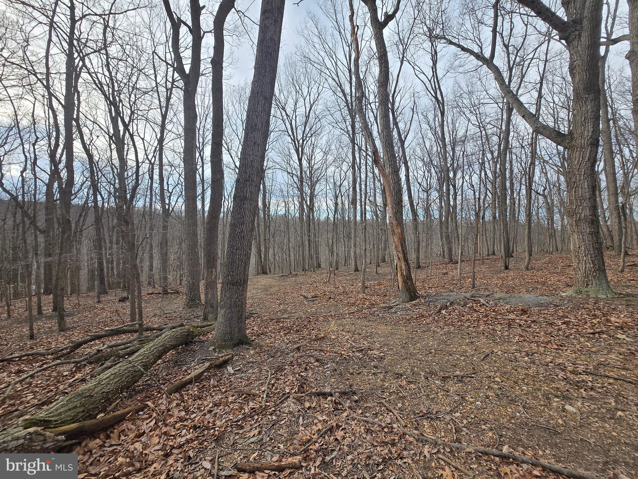 NONE AVAILABLE - Land