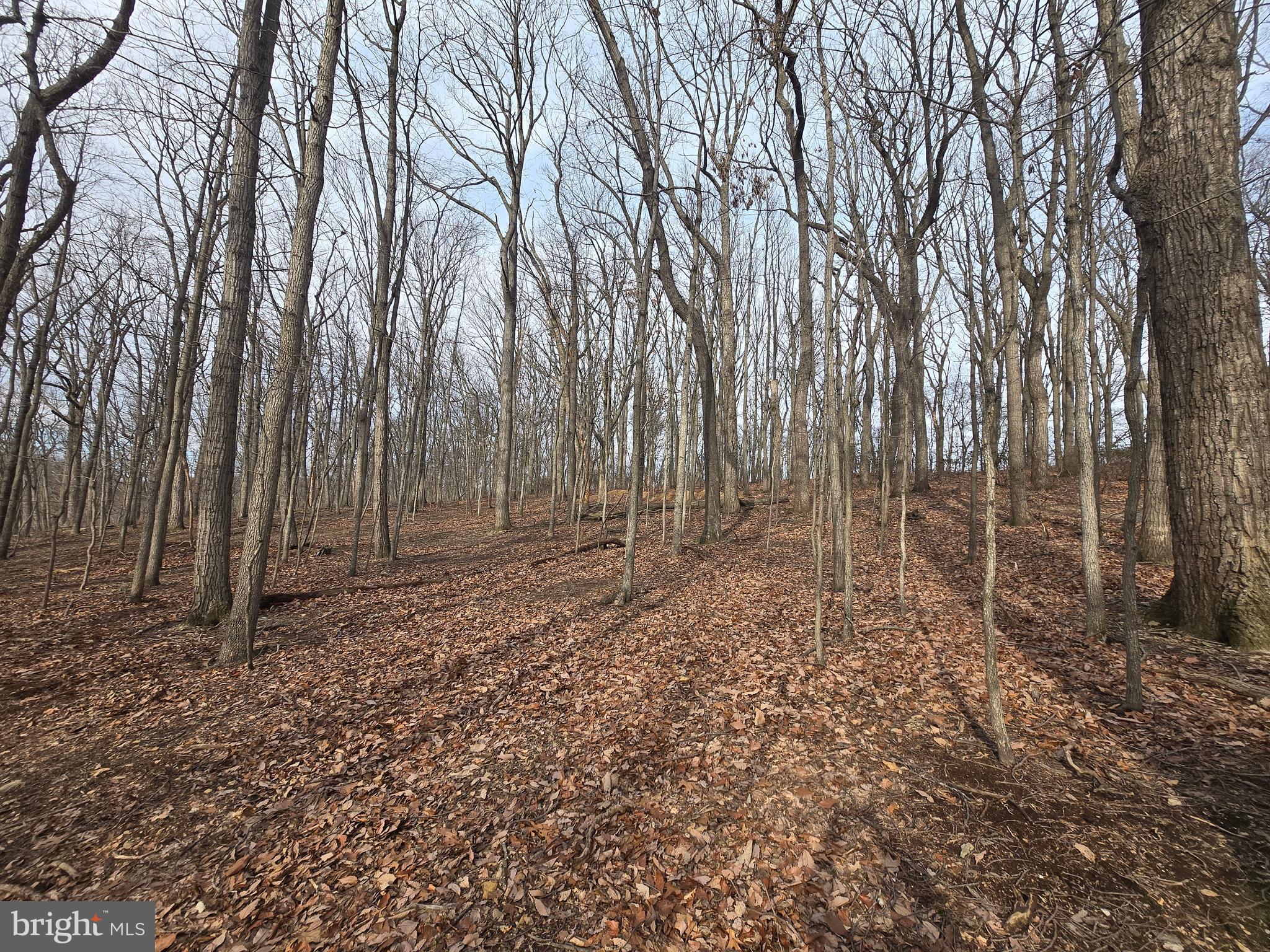 NONE AVAILABLE - Land