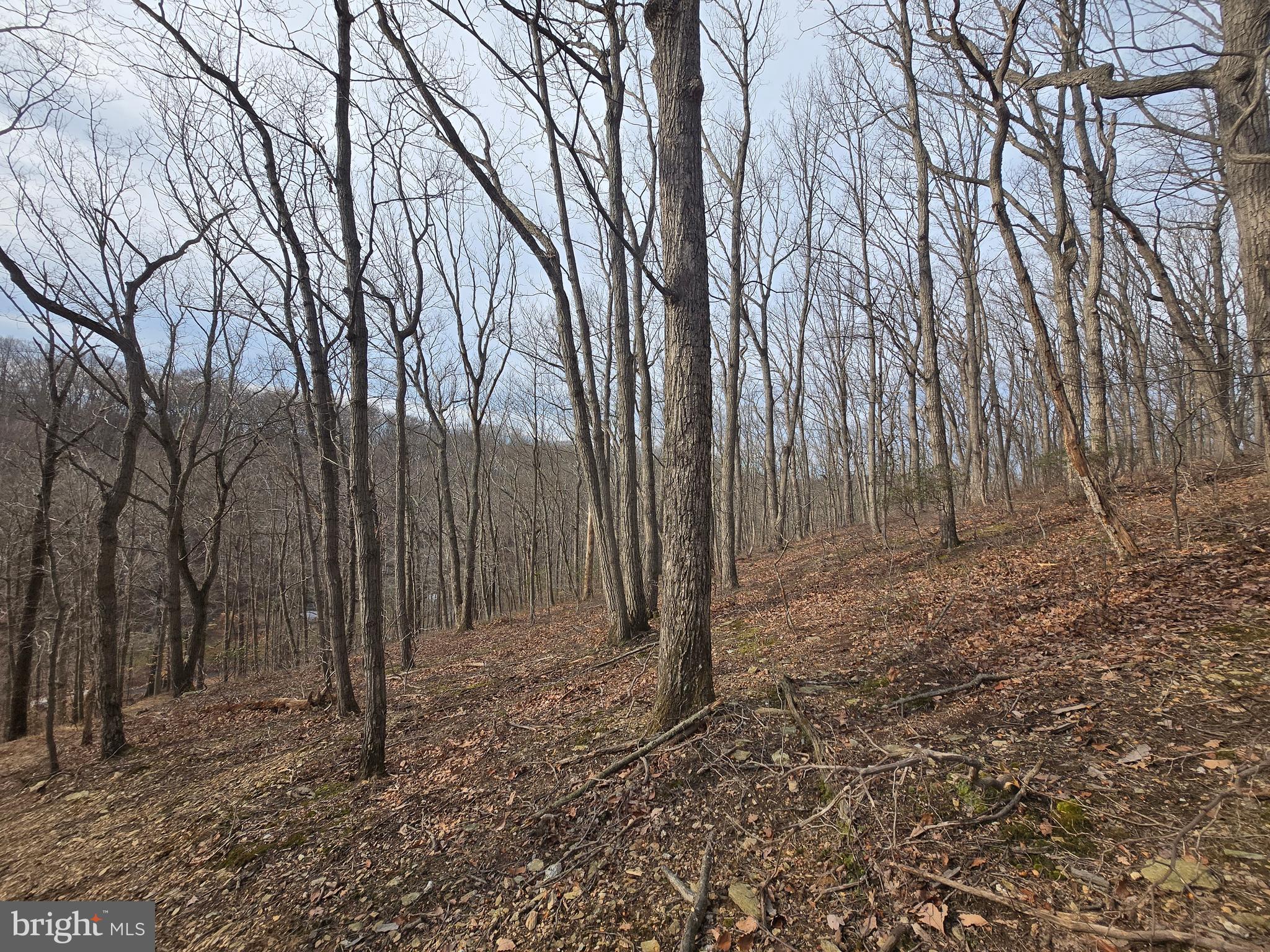 NONE AVAILABLE - Land