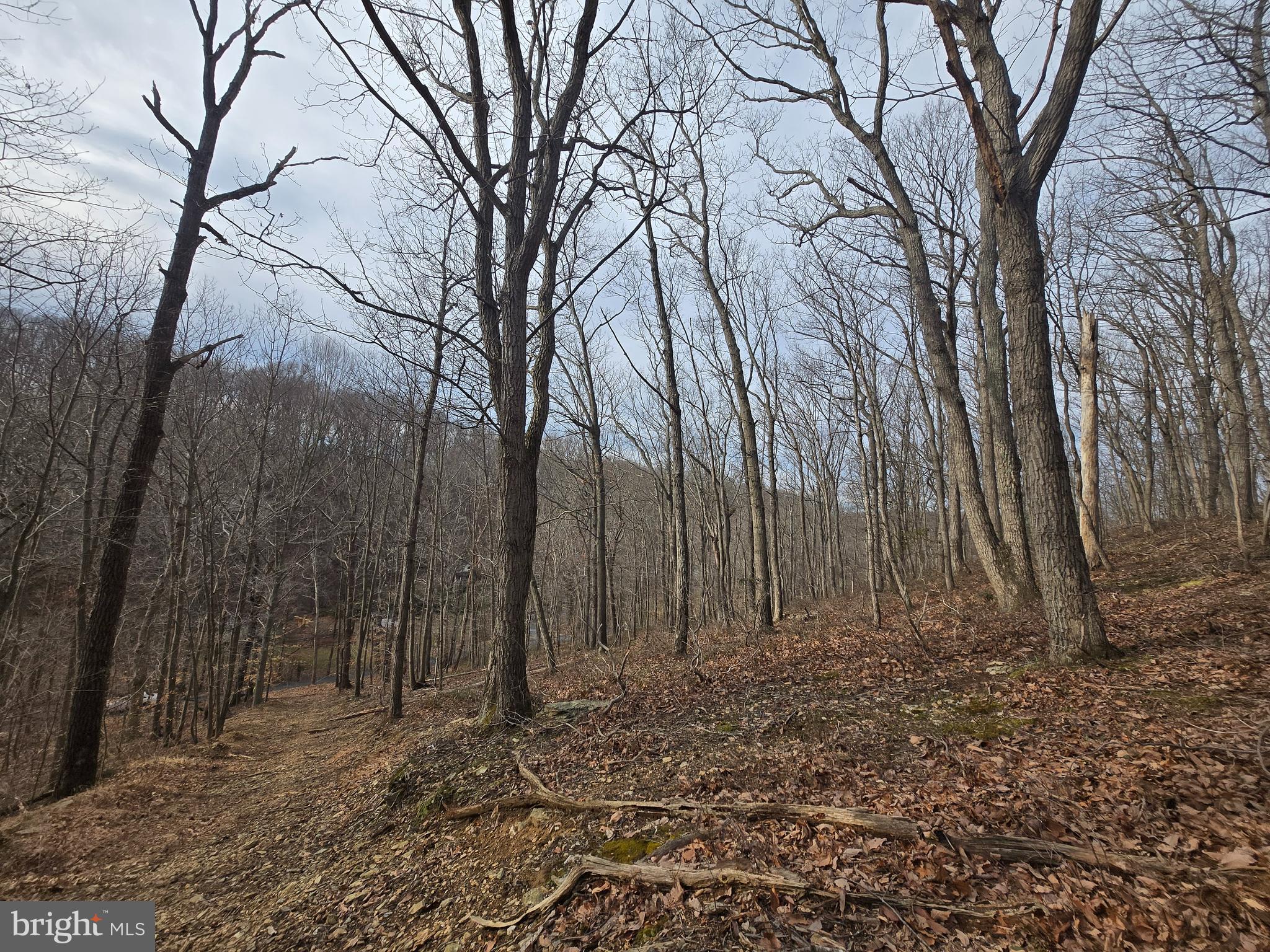 NONE AVAILABLE - Land