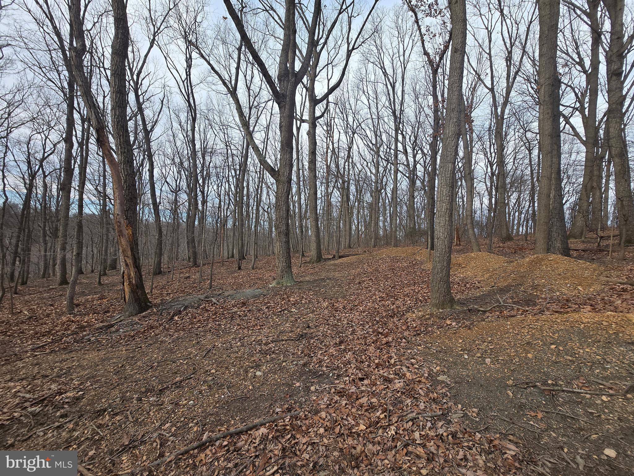 NONE AVAILABLE - Land