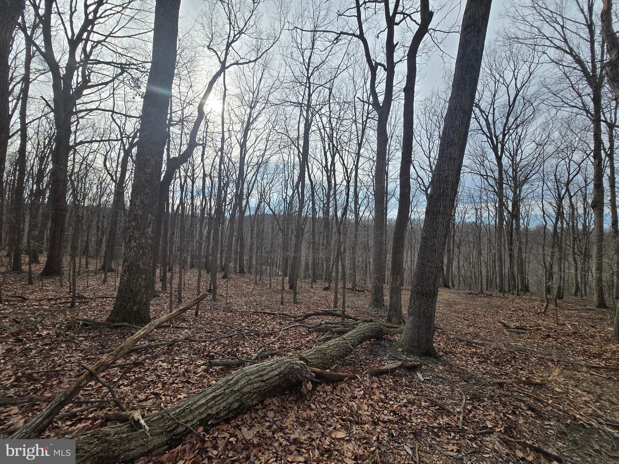 NONE AVAILABLE - Land