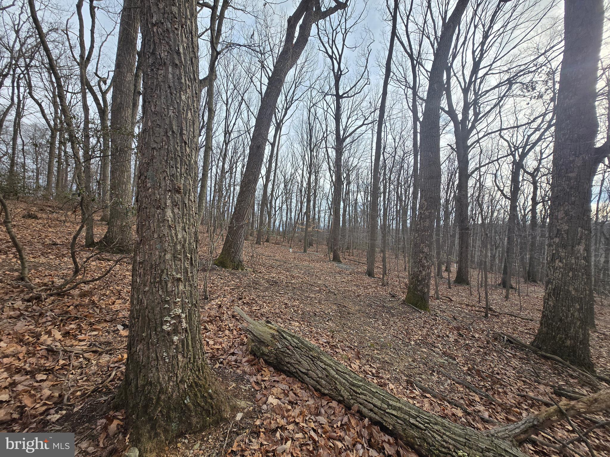 NONE AVAILABLE - Land