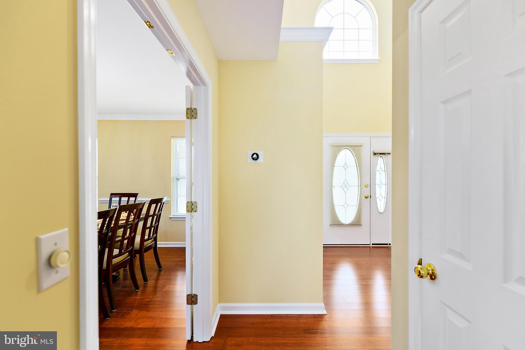 POINTERS RUN - Residential