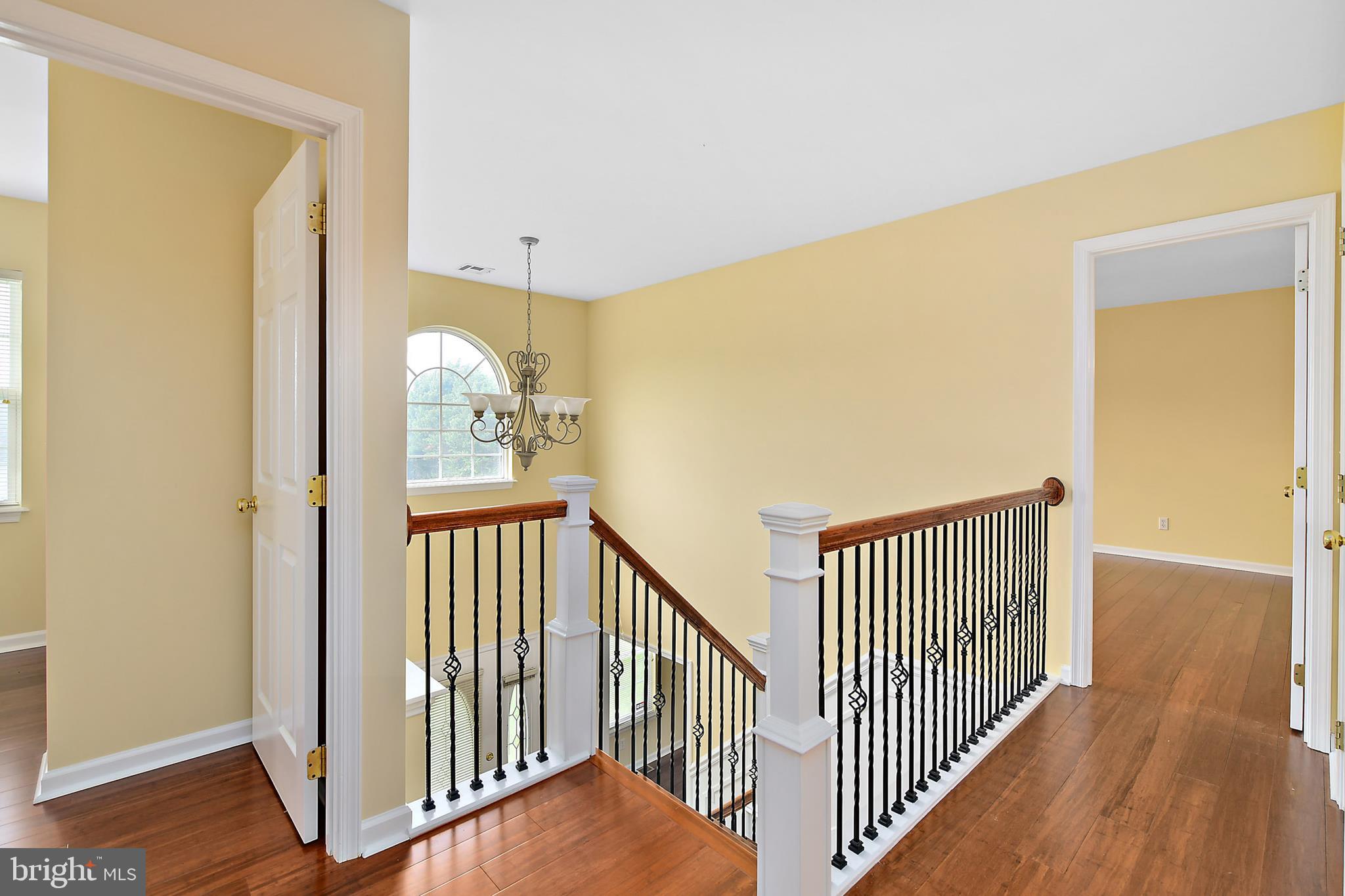 POINTERS RUN - Residential