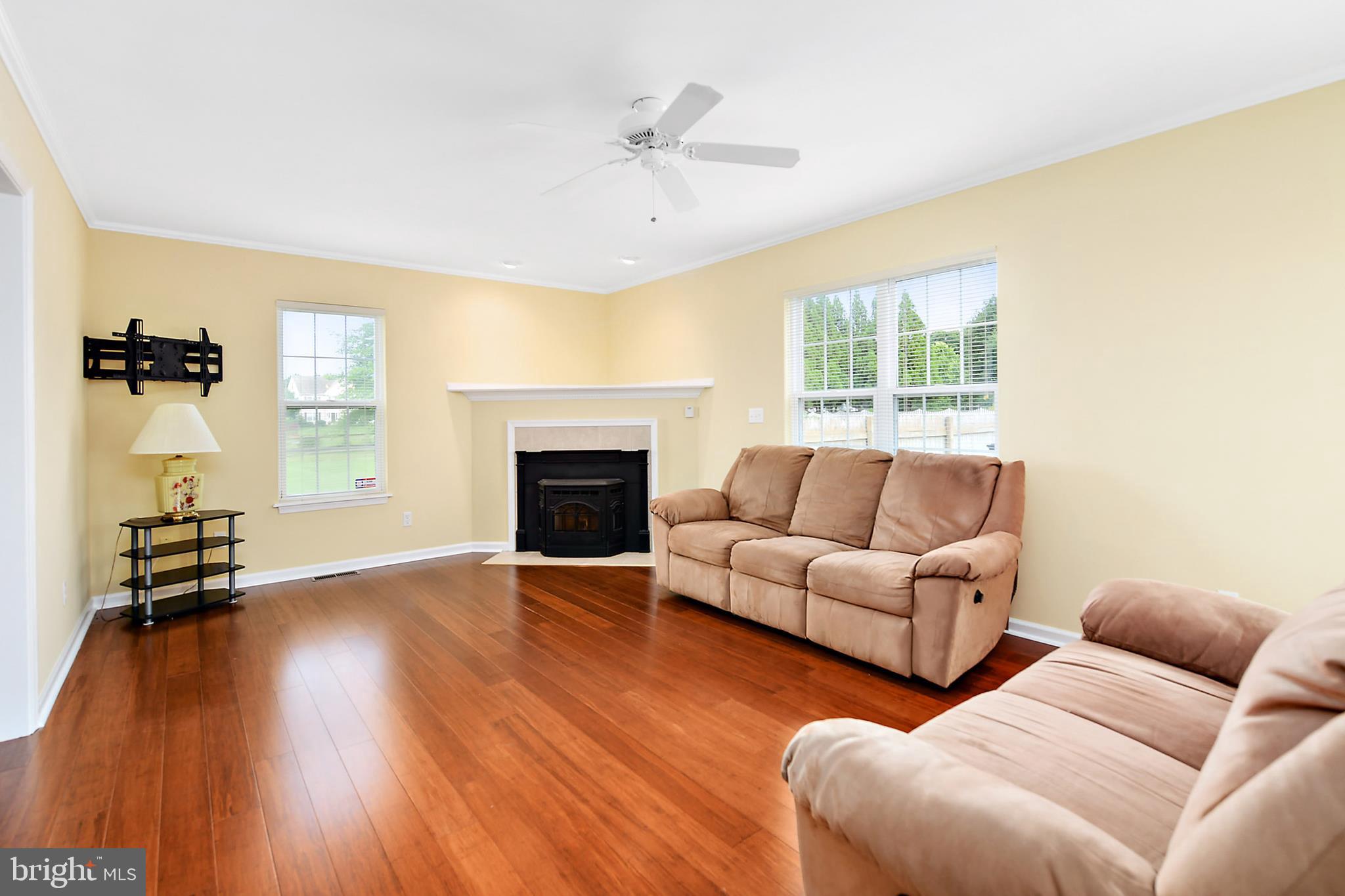 POINTERS RUN - Residential