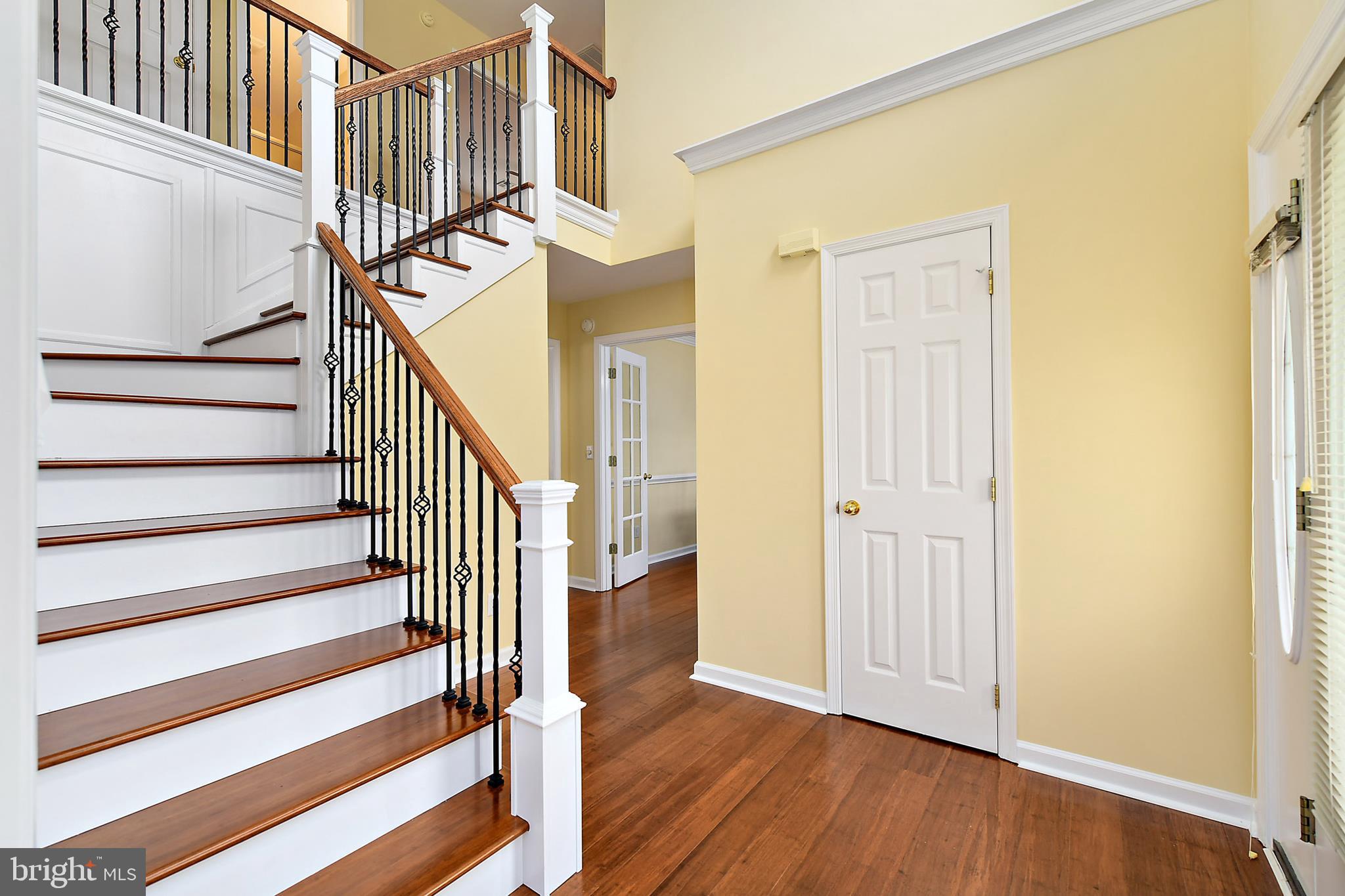 POINTERS RUN - Residential