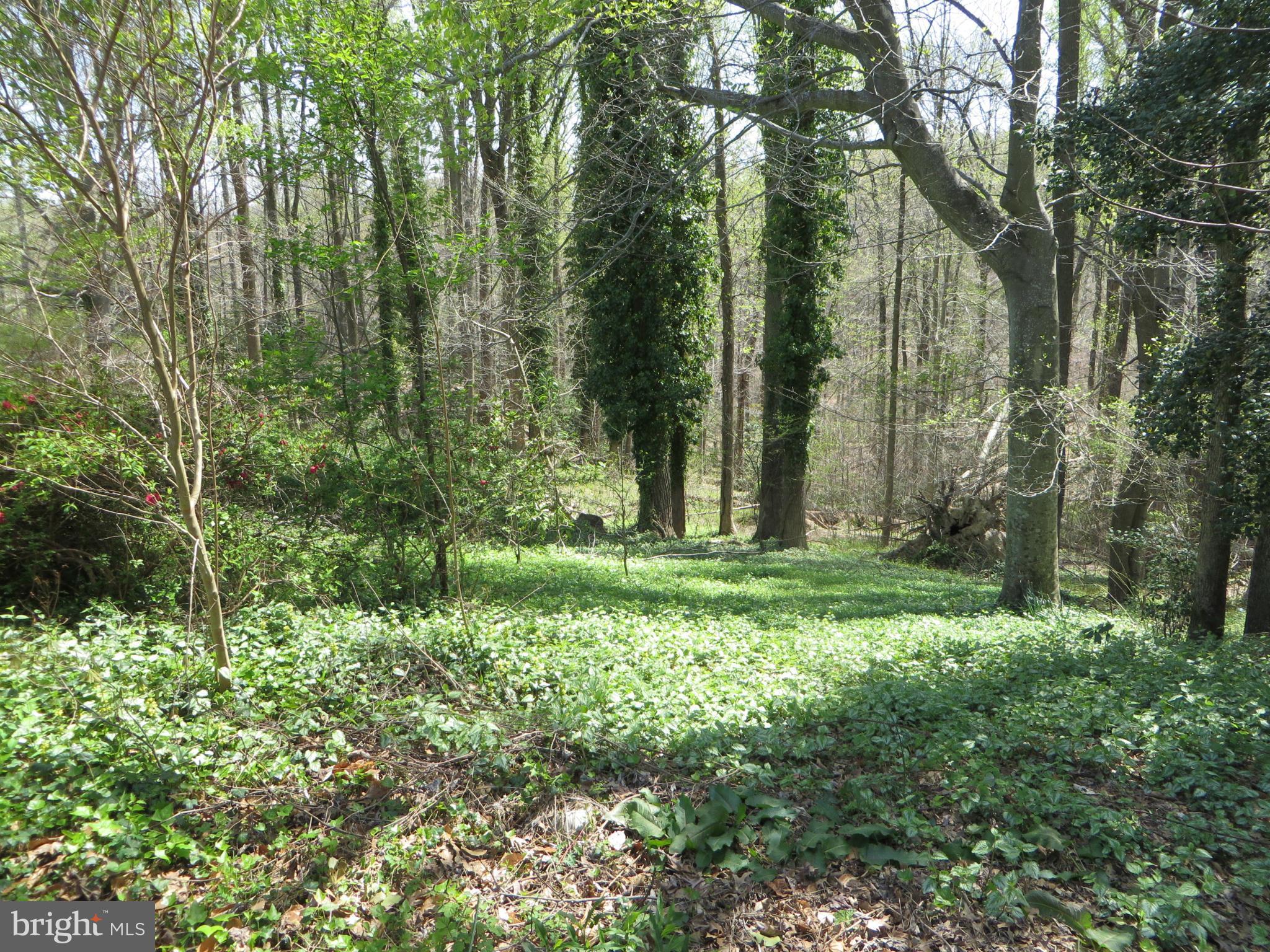 TOWN CREEK - Residential