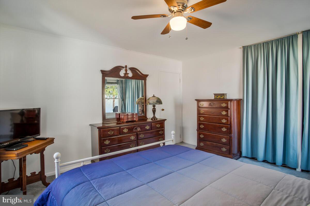 SUBURBIA - Residential