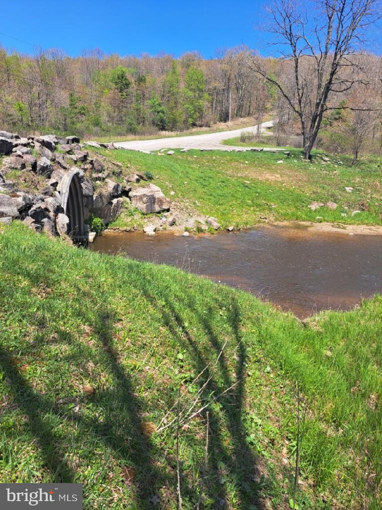 BLACK BEAR FOREST - Land