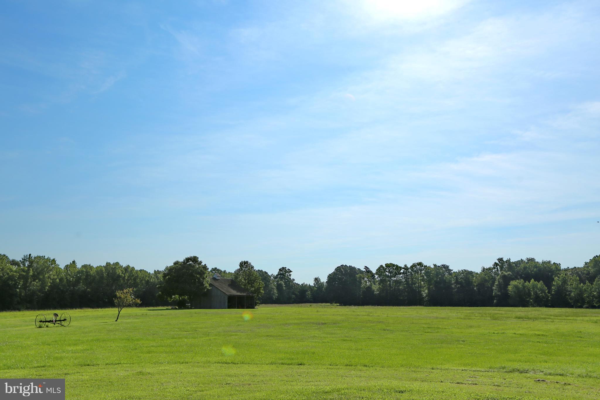 NONE AVAILABLE - Farm