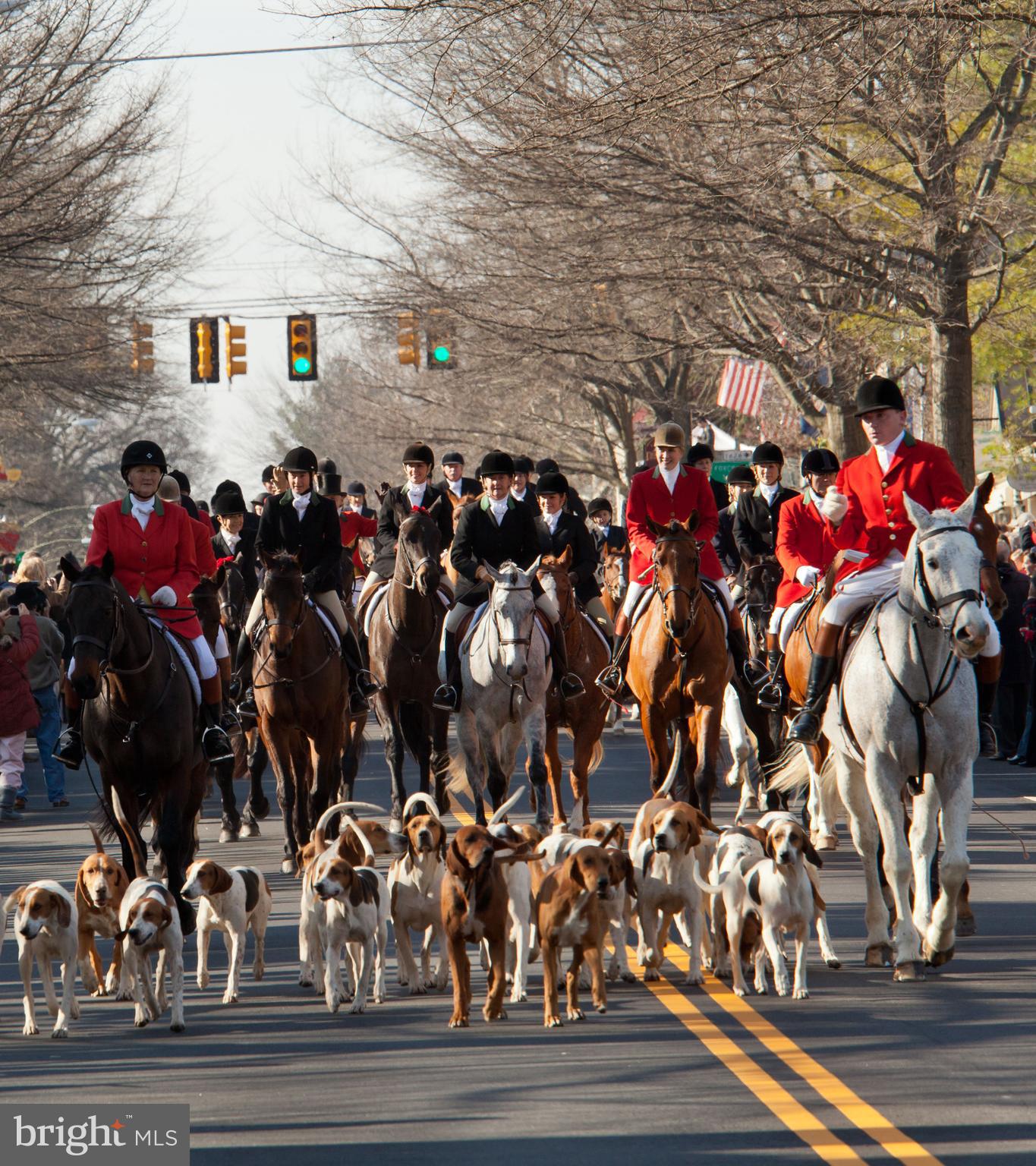 MIDDLEBURG - Residential