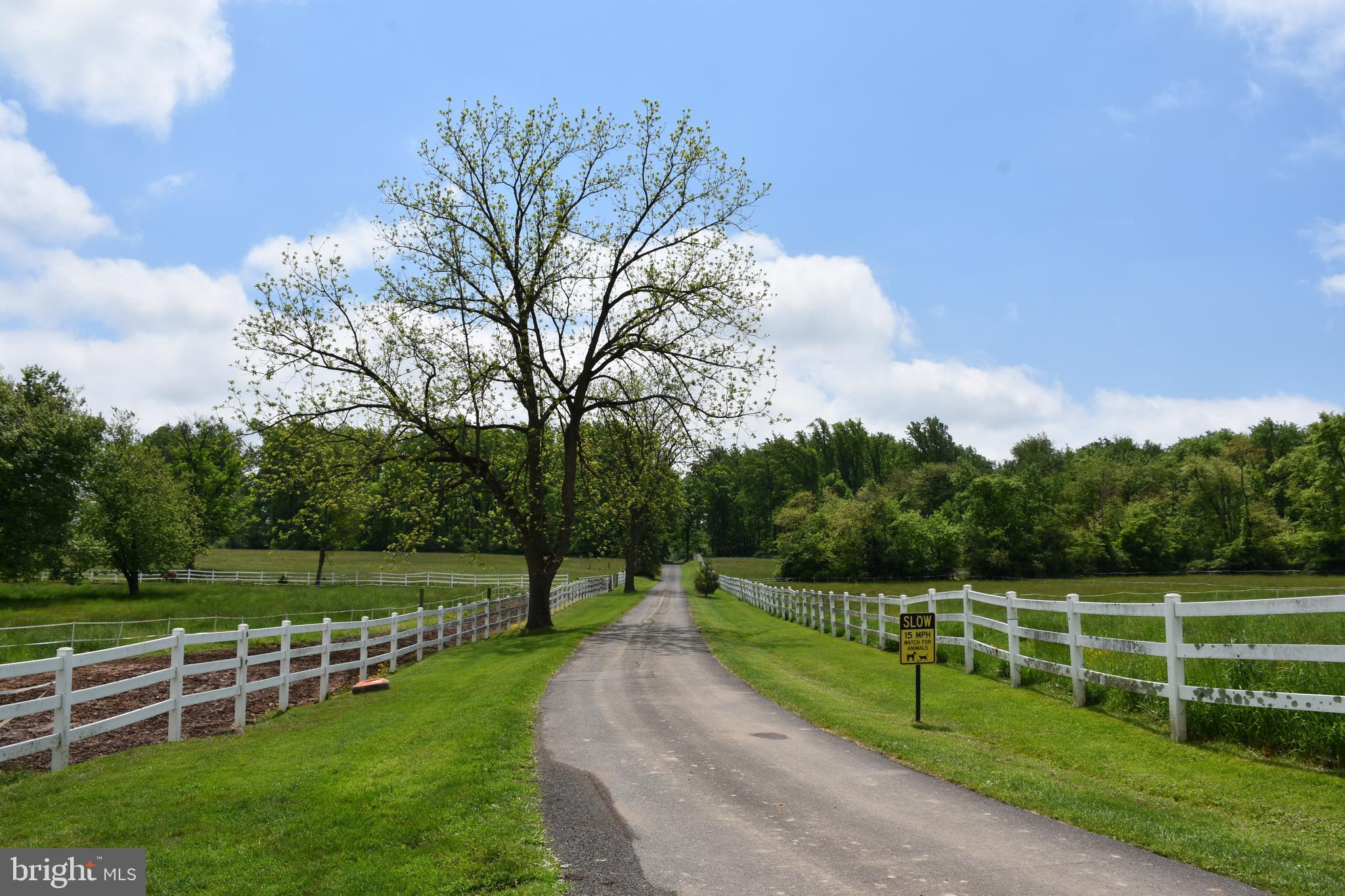 BLUE BELL - Residential Lease