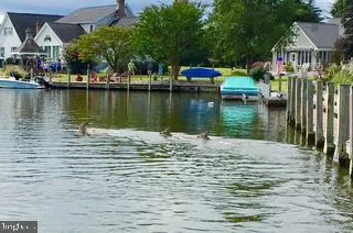 Millsboro, Delaware 19966, United States, 7 Bedrooms Bedrooms, ,5 BathroomsBathrooms,Residential,Pending,19333